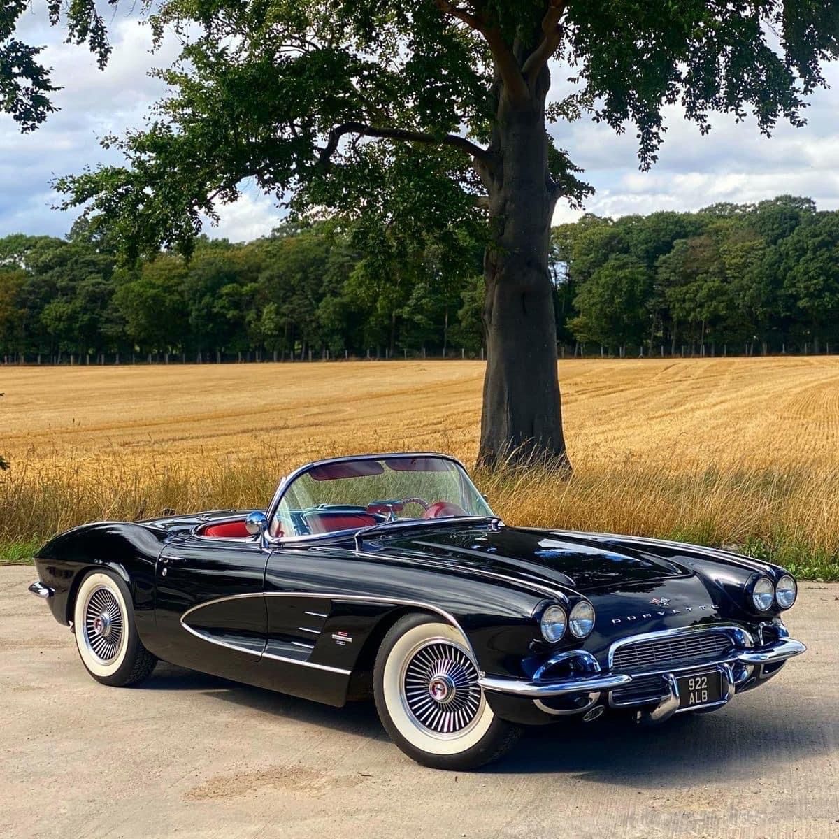 Black classic Corvette convertible parked by a field and tree
