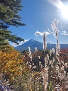 Mount Fuji Japan