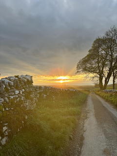 Narrow country lane with stone wall and bare trees leading toward a golden sunset under grey clouds