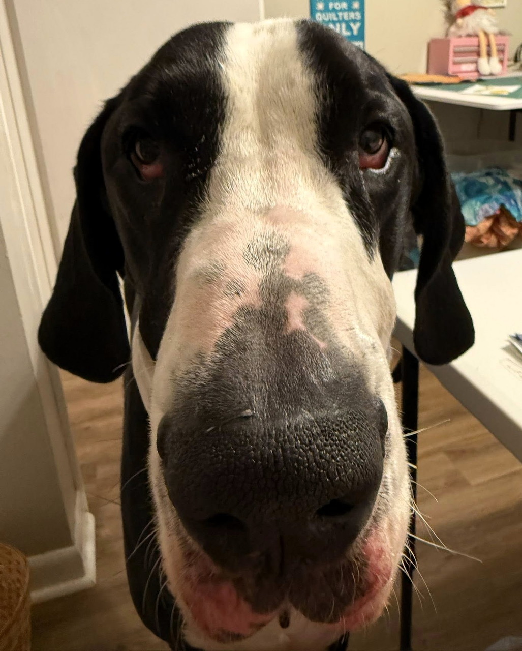 Angelic portrait titled Lenny with soft serene features