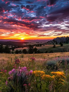 Dramatic colorful sunset over hills with wildflowers and golden grass in the foreground