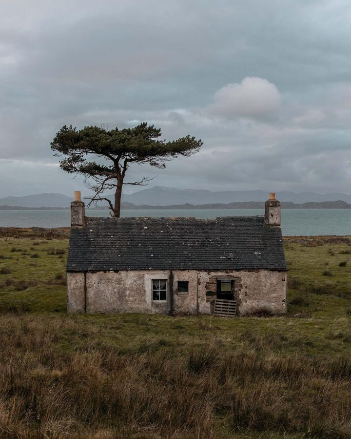 Abandoned stone cottage on a grassy moor with a lone pine tree and coastal sea in the background