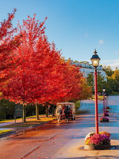 Brilliant red fall foliage tree on a waterfront walkway with vintage lamp post and pink flower basket