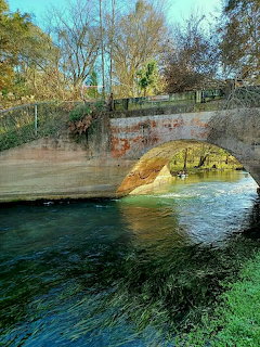 Stone arch bridge over clear turquoise spring water with green aquatic plants and trees in background