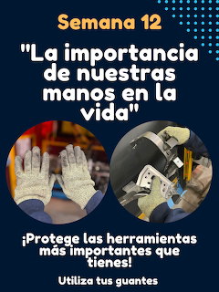 Hands Safety Gloves
