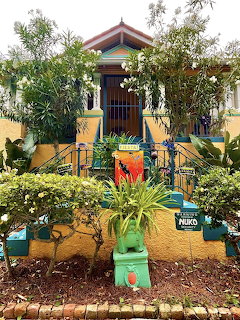 Colorful tropical house entrance with stairs, lush garden plants, and vibrant painted walls