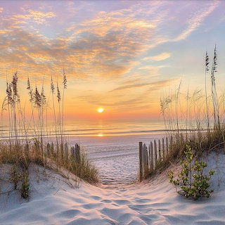 Beach Sunset Path