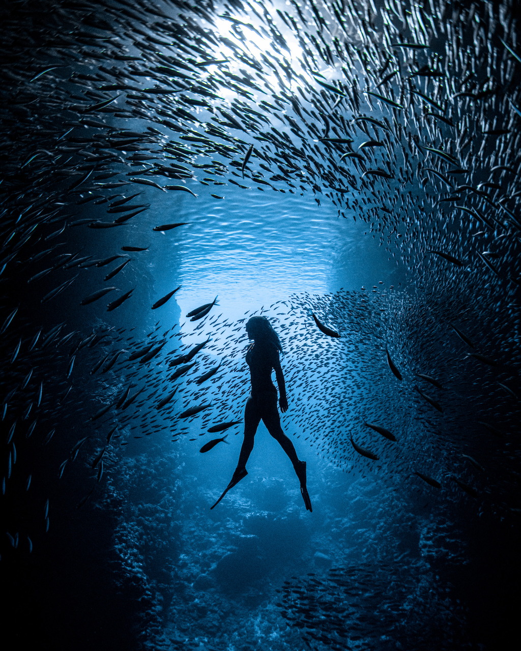 Silhouetted diver underwater surrounded by a swirling school of fish in blue ocean light