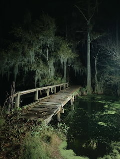 Wooden bridge over dark swamp water at night beside tall trees