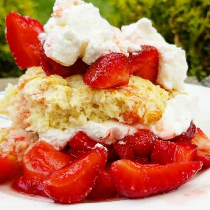 Strawberry shortcake with whipped cream and fresh strawberries on white plate outdoors