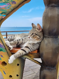 Striped tabby cat relaxing on a yellow beach chair with ocean view