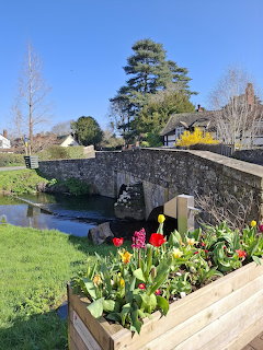 Stone bridge over water with vibrant flower planter, green lawn and trees in sunny village scene